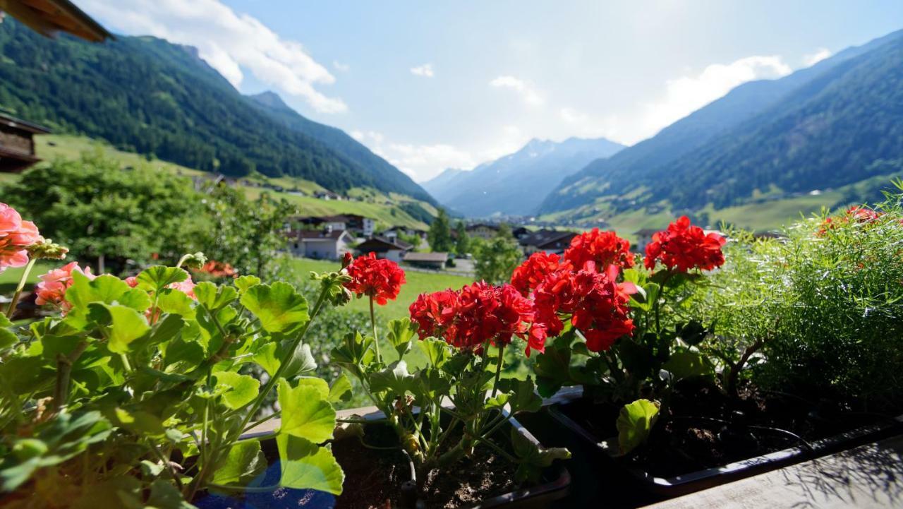 Fleckhof Hotel Neustift im Stubaital Luaran gambar